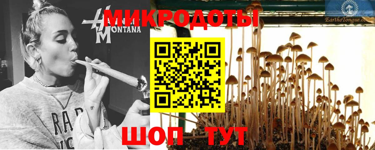 Псилоцибиновые грибы Psilocybine cubensis Нижневартовск